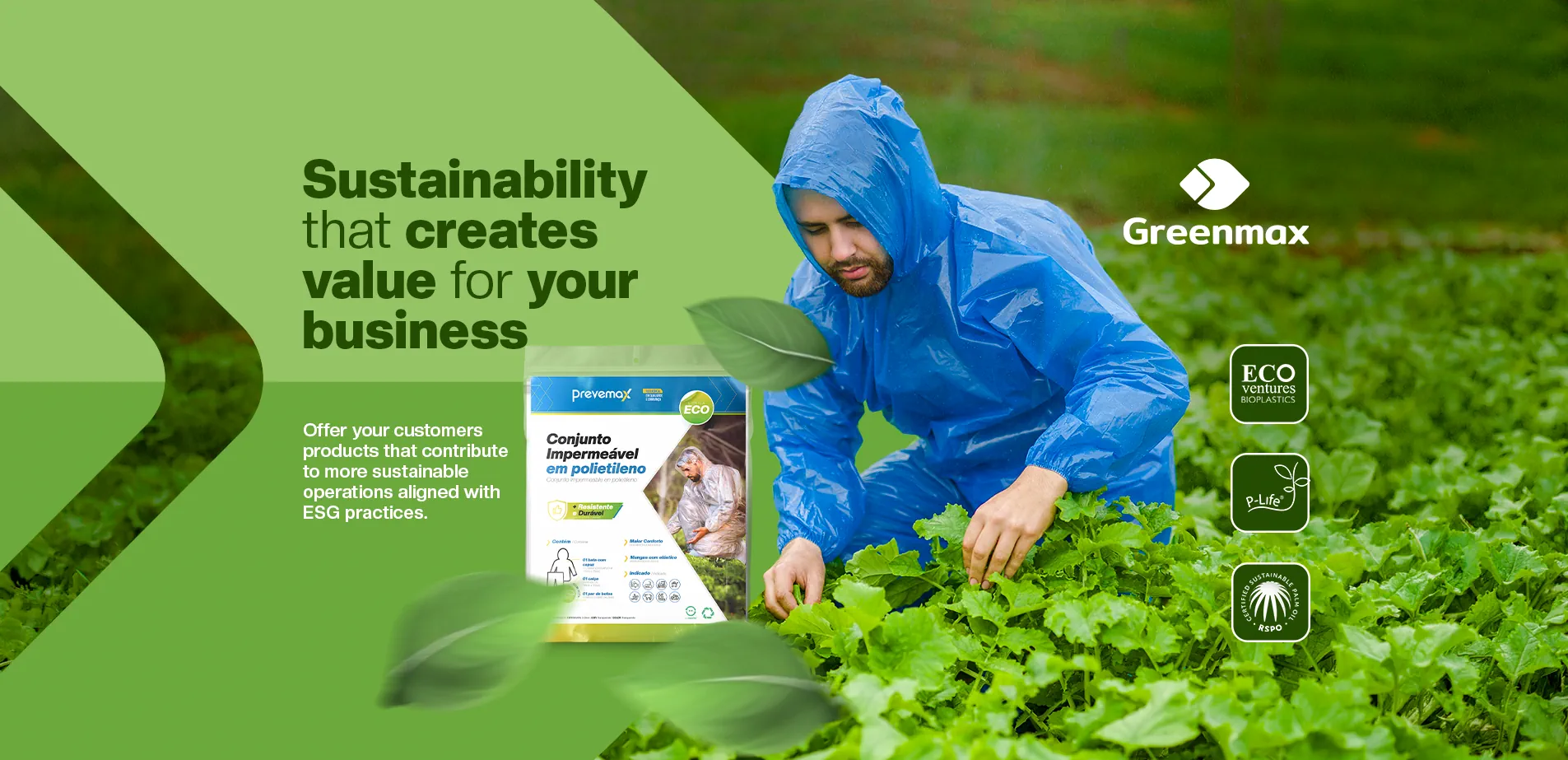 LINHA ECO EN