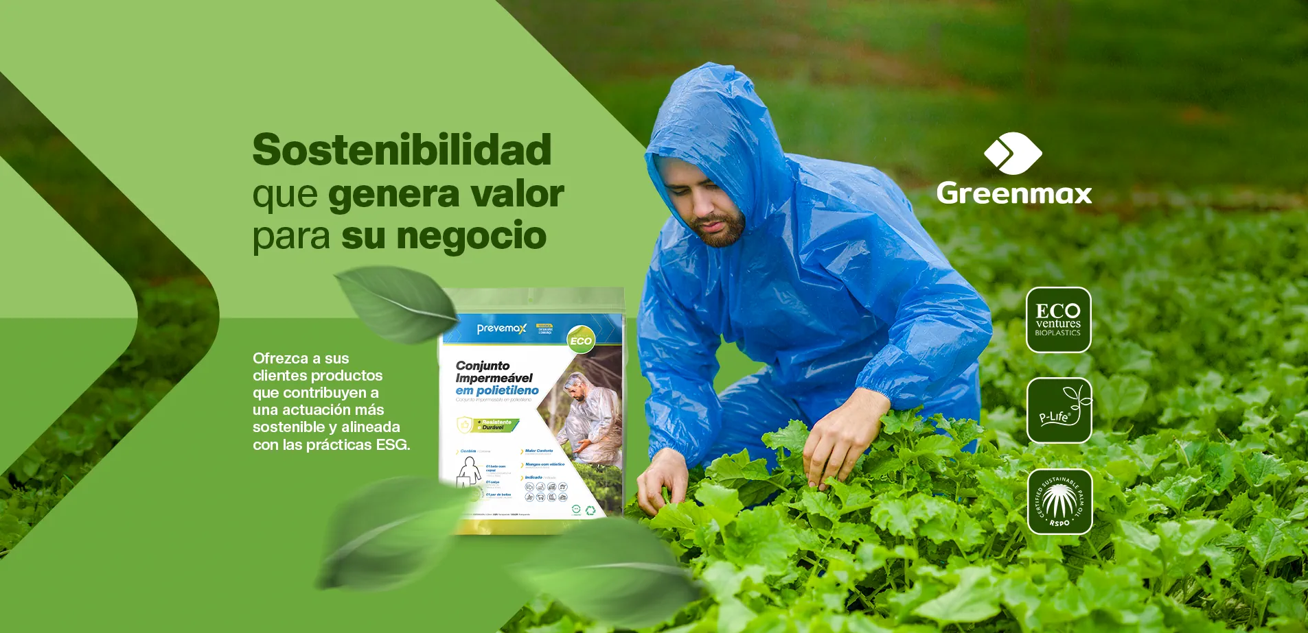 LINHA ECO ES