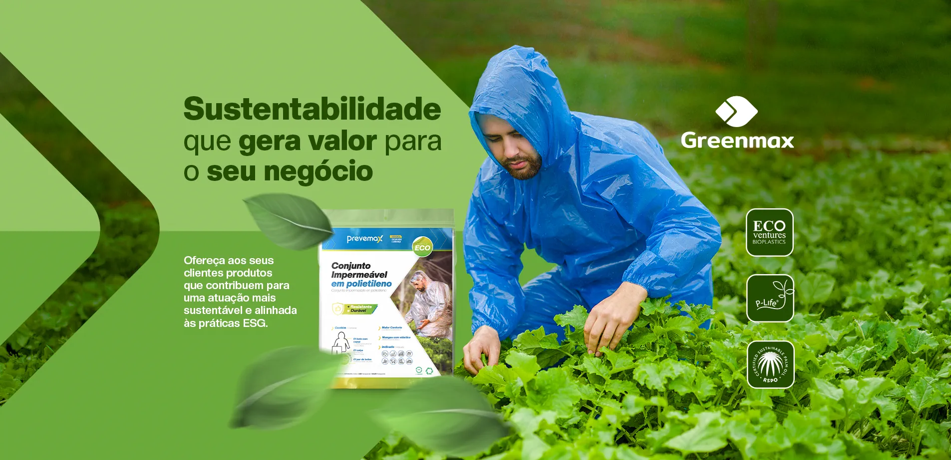 LINHA ECO PT